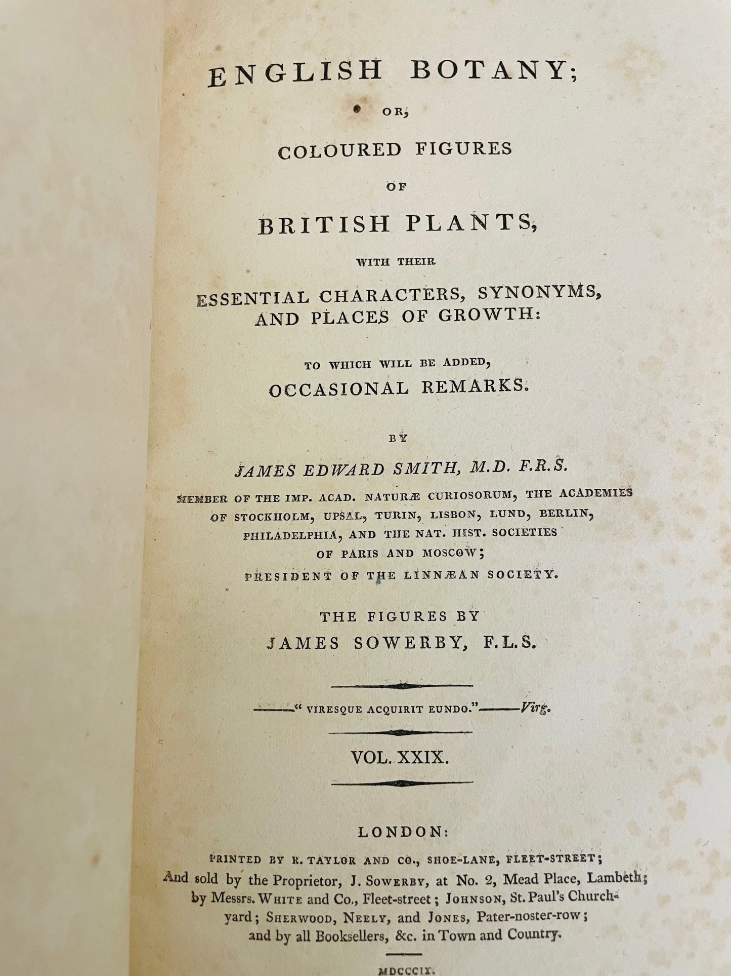 English Botany by James Sowerby Vol.29 - 1809