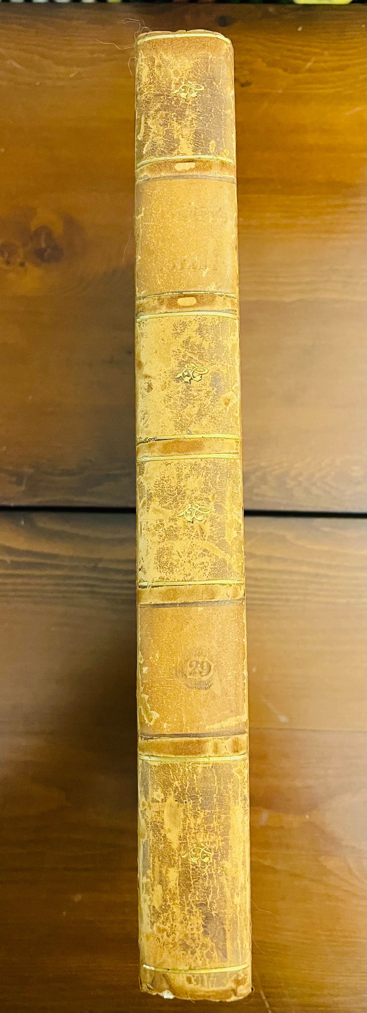 English Botany by James Sowerby Vol.29 - 1809