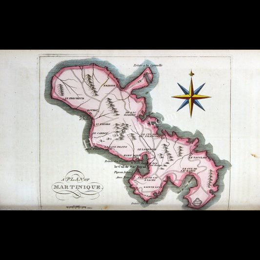 Ackermann's Repository 1809 June A Plan of Martinique