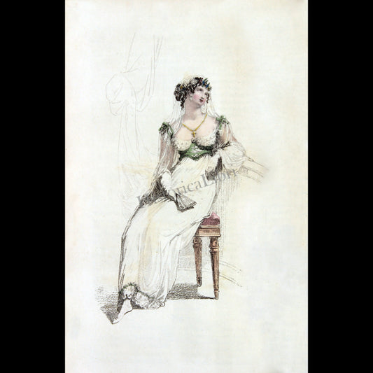 Ackermann's Repository 1813 August Plate 11 Evening Dress