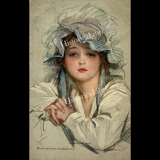 Harrison Fisher 1917 A Ripening Bud